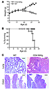 Overexpression of NIK in T cells causes lethal inflammation.