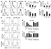 CD4-NIKtg mice have increased populations of activated T cells and nonfunct