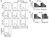 NIK intrinsically inhibits Treg-suppressive capacity and increases Tconv re