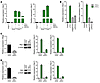 Tnf-α–induced Notch target gene expression requires expression of Rbpj and