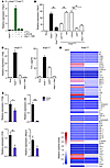 Inhibition of Notch/NF-κB signaling attenuates the inflammatory profile of