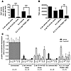 Activity of small-molecule inhibitors of the MAPK pathway in BRAFV600E-indu