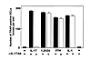 Effect of neutralizing antibody against IL-17 on OCL formation in coculture