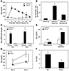 HVEM stimulation promotes erythropoiesis via renal Epo production.