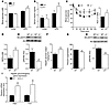 Hematopoietic deletion of AMPK β1 causes adipose tissue and hepatic insulin