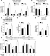 Increased hepatic inflammation due to β1 deletion in macrophages leads to h