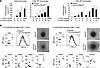 Ptpn2 deletion enhances thymocyte proliferation and T cell activation in vi