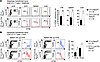 Ptpn2 deletion enhances T cell proliferation in vivo.