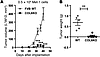 Regression of tumor growth in Col6a1–/– mice.