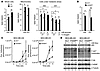 NAD+ level modulation by complex I and NAD+ synthesis and recycling pathway