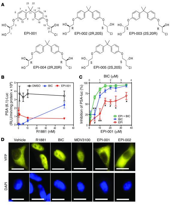 Unique mechanism of action of EPI compared with antiandrogens.
(A) Struc...