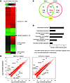 Gene expression in human uroepithelial cells infected with E. coli 83972 or