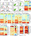 Tumor SN suppresses activation of donor CD4+ T cells.