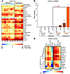 Genes predominately expressed in CD4+ TIL from extensively and minimally in