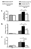 Myocyte cross-sectional area, collagen content, and number of TUNEL-positiv