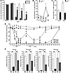 FKN triggers ROS production in CX3CR1 macrophages — a role for TRPA1 in VCR