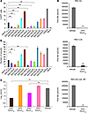 Inhibition of RSV infection and syncytia formation by i,i+7–stapled SAH-RSV