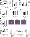 High-fructose feeding induces metabolic disease.