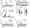 Multiple different carbohydrates acutely activate hepatic ChREBP.