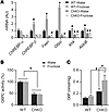 ChREBP is necessary for fructose-induced hepatic gene expression.