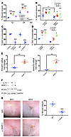 WISP-1 promotes intestinal epithelial wound healing.