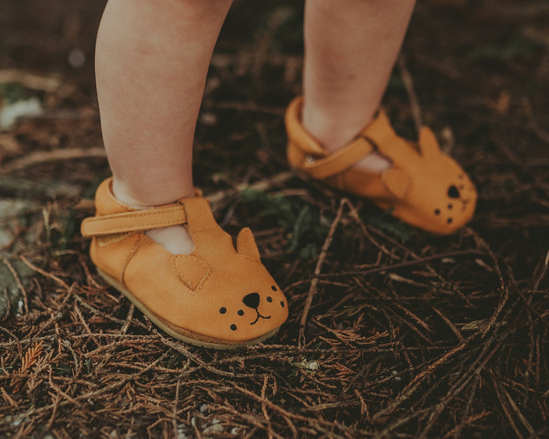 Spark Classic Shoes | Lion | Caramel Nubuck