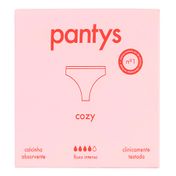 826936---Calcinha-Absorvente-Reutilizavel-Cozy-Pantys-Tamanho-M-Fluxo-Intenso-1-Unidade-1