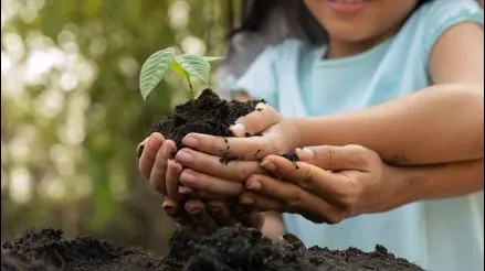 Pequeñas acciones, grandes cambios: conoce cómo cuidar el medio ambiente