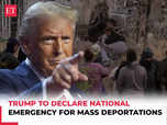 Trump says ready to use military for mass deportations:Image