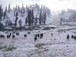 Kashmir welcomes season's first snowfall: Gulmarg, Pahalgam transform into winte:Image