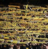 Tifosi  del BSC Young Boys.