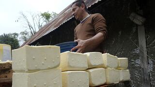 Cómo Venezuela se convirtió en el segundo productor de queso de América Latina 