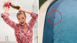 Thalía fue tendencia tras rescatar a ratón que cayó a su piscina | VIDEO