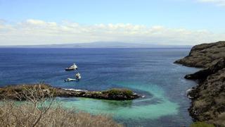 La evolución se analiza donde Darwin se inspiró: en las Islas Galápagos