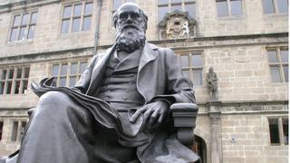 Día de Darwin: ¿por qué se celebra el 12 de febrero y en honor a quién?