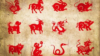 Horóscopo chino 2023: cómo saber cuál es mi signo del zodiaco según la astrología china 