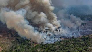 ¿Qué efectos ha provocado el incendio de la Amazonía en la humanidad?