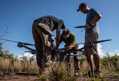 XPrize Rainforest: el concurso donde científicos compiten por mapear la Amazonía por US$10 millones 