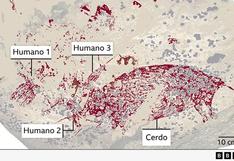 El fascinante hallazgo de las pinturas rupestres más antiguas del mundo