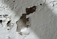 Descubre los trucos caseros para eliminar la humedad de las paredes ¡Fácil y económico!