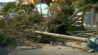 Breña: camión causó la caída de postes y árboles