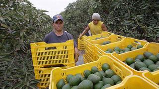 Exportación de alimentos cayó más de 7% en el 2012, reportó ÁDEX 