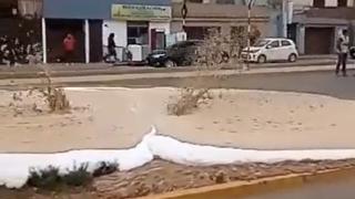 Av. Colonial: ¿Qué provocó el brote de una extraña espuma y cuánto daño pudo causar?