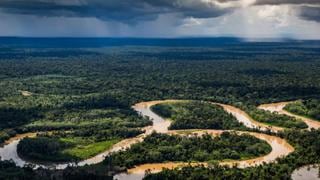 Régimen agrario: ¿cuánto beneficia su ampliación a los sectores forestal y acuícola?