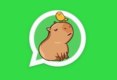Truco para activar el “modo Capibara” en WhatsApp