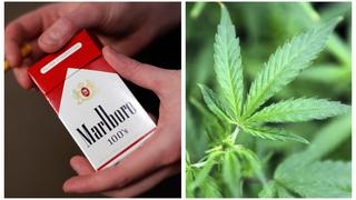 Fabricante de Marlboro ingresa al mercado de cannabis