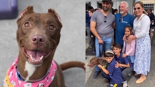 Encontraron a su perro perdido en un evento de adopción cuando buscaban una nueva mascota