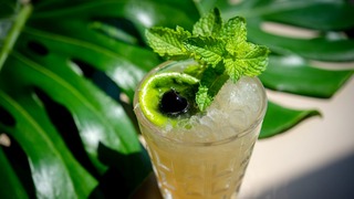 Mai Tai, un clásico de la coctelería Tiki que puedes preparar en casa