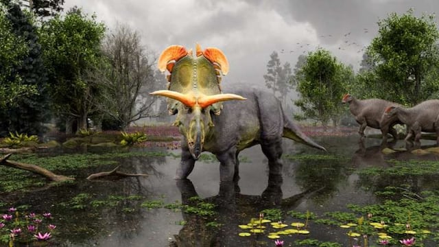 Descubren en EE.UU. una nueva especie de dinosaurio con cuernos gigantes 