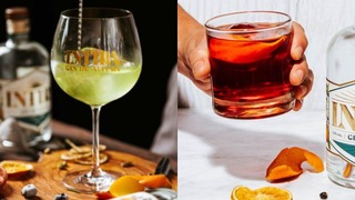 Gin Tonic o Negroni: aprende cómo preparar estos cócteles para el fin de semana